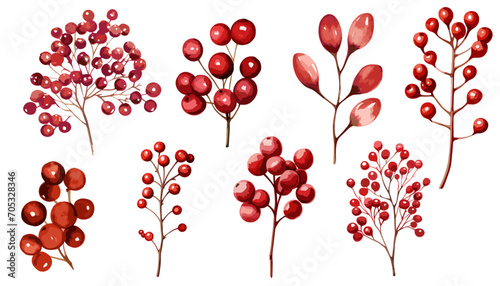 Watercolor red berries branch vector  clipart collection.  Isolated on white background vector illustration set. 