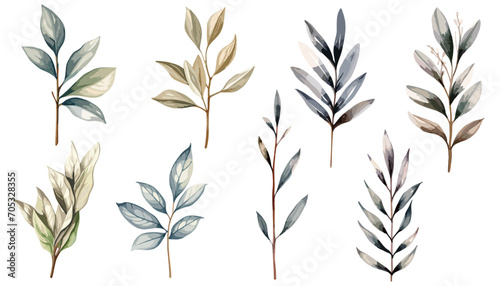 Watercolor green leaves plant clipart collection. Isolated on white background vector illustration set. 