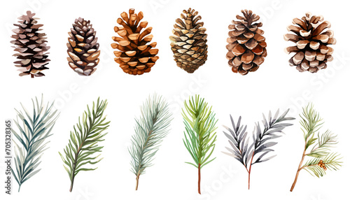 Watercolor pine and pine corn  branches clipart collection.  Isolated on white background vector illustration set.  photo