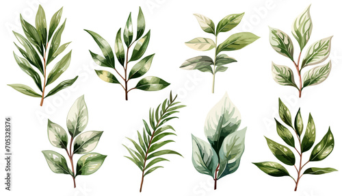 Wallpaper Mural Watercolor green leaves plant clipart collection.  Isolated on white background vector illustration set.  Torontodigital.ca