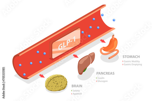 3D Isometric Flat  Conceptual Illustration of Glucagon-like Peptide-1, Digestive Hormones photo