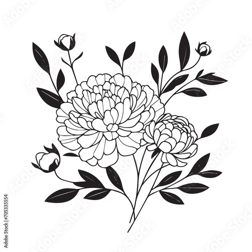 Hand drawn floral minimal elements in line art style. Greenery for decoration  wild and garden plants  branches  leaves. Vector illustration for logo. peony flower
