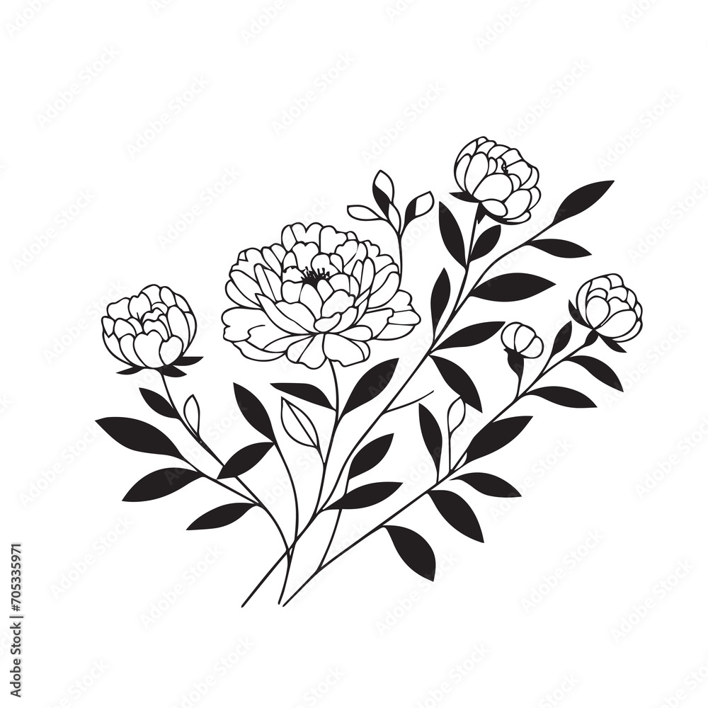 Hand drawn floral minimal elements in line art style. Greenery for decoration, wild and garden plants, branches, leaves. Vector illustration for logo. peony flower Hand drawn floral minimal elements in line art style. Greenery for decoration, wild and garden plants, branches, leaves. Vector illustration for logo. peony flower