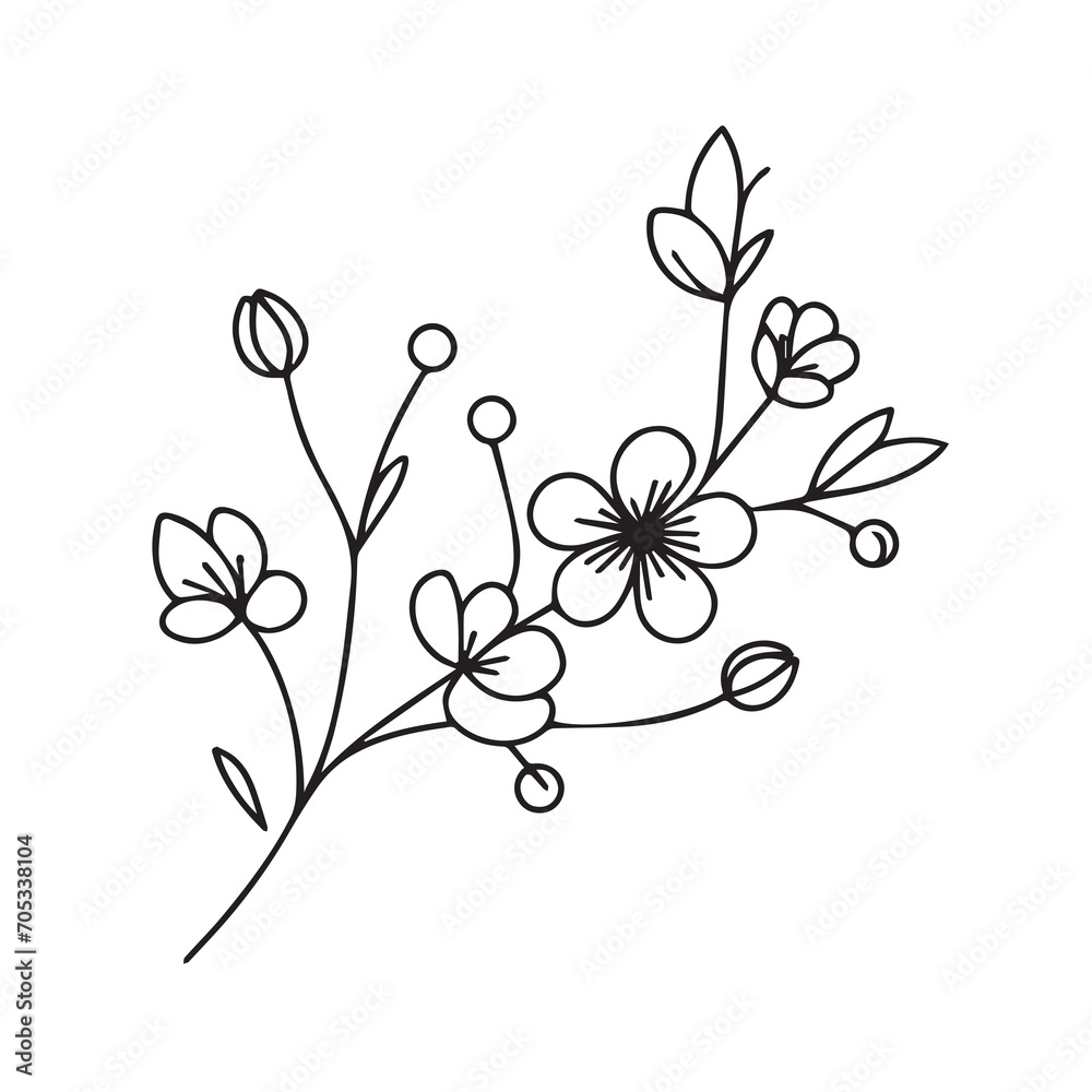 Hand drawn floral minimal elements in line art style. Greenery for decoration, wild and garden plants, branches, leaves.