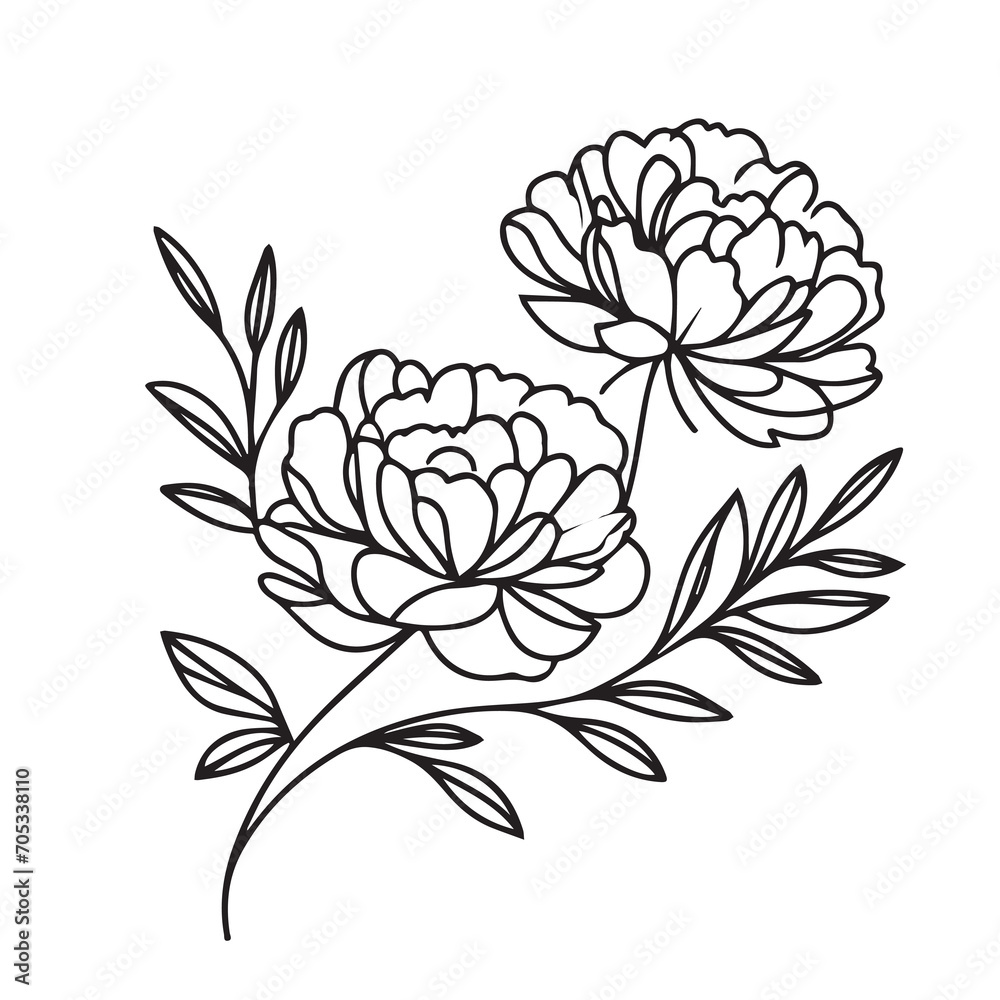 Hand drawn floral minimal elements in line art style. Greenery for decoration, wild and garden plants, branches, leaves. Vector illustration for logo. peony flower Hand drawn floral minimal elements in line art style. Greenery for decoration, wild and garden plants, branches, leaves. Vector illustration for logo. peony flower