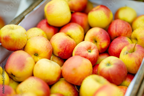 Fresh red and yellow apples in wooden crates sold on farmers food market during annual spring fair in Vilnius