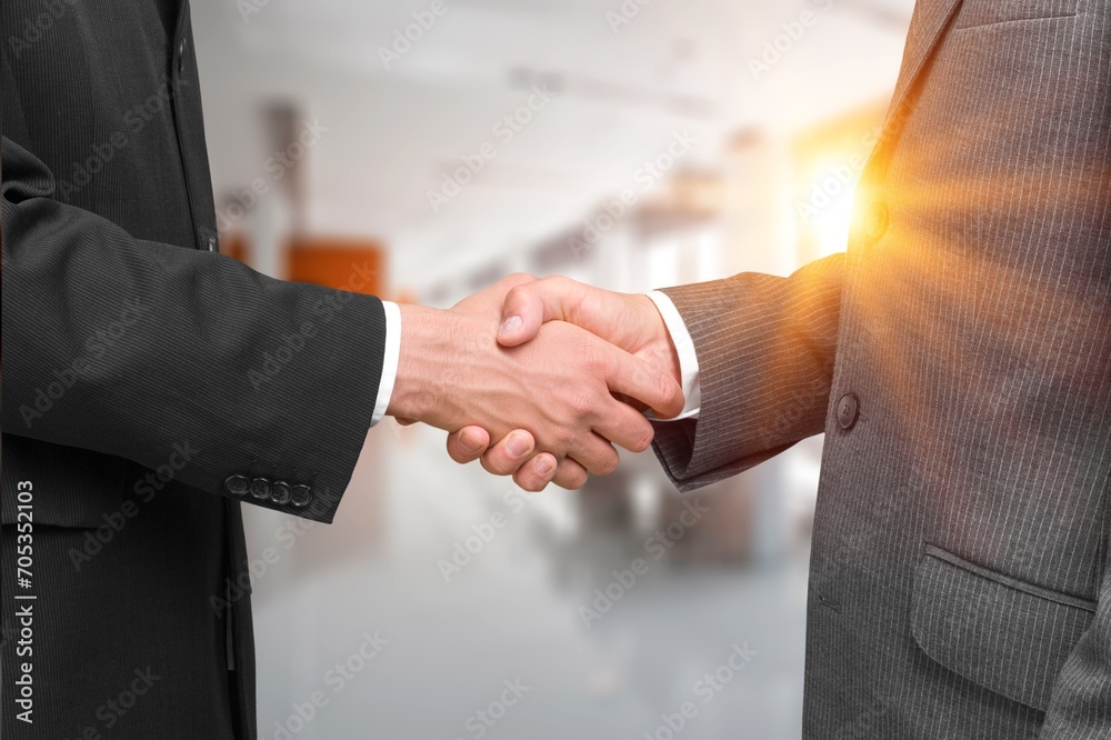 Business people shaking hands after meeting