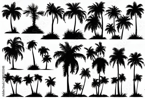Set of palm trees black color and isolated white background