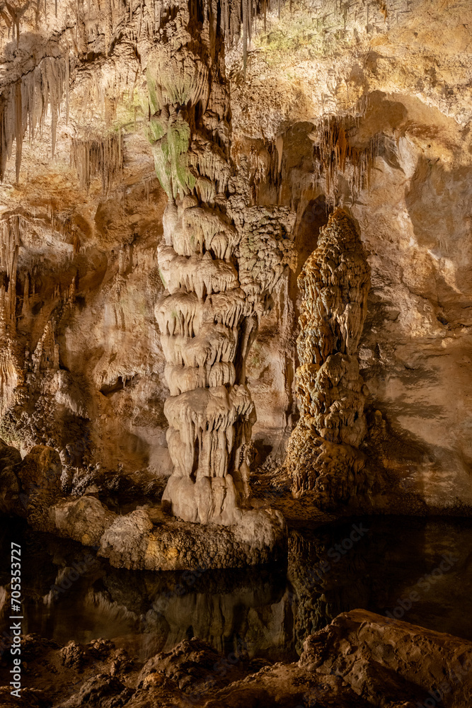 Tall Column at Devils Spring In Carlsbad Caverns