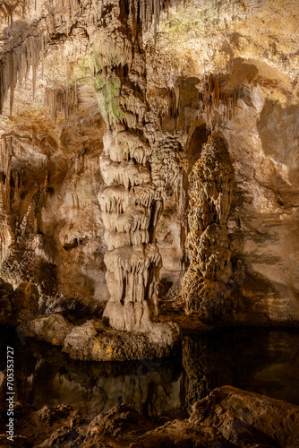 Tall Column at Devils Spring In Carlsbad Caverns