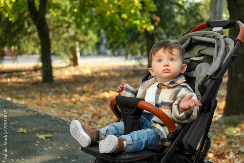 Cute little child in stroller in autumn park, space for text