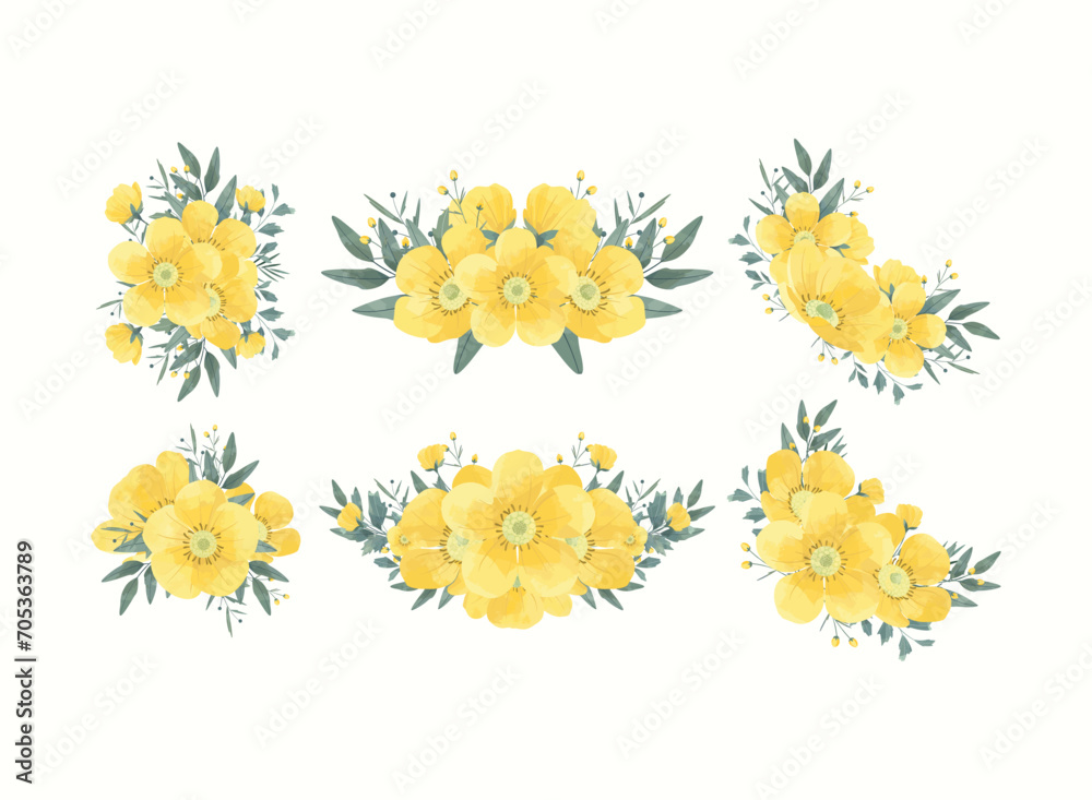 Yellow Buttercup Flower Illustration Set Yellow Buttercup Flower Illustration Set