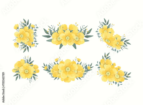 Yellow Buttercup Flower Illustration Set