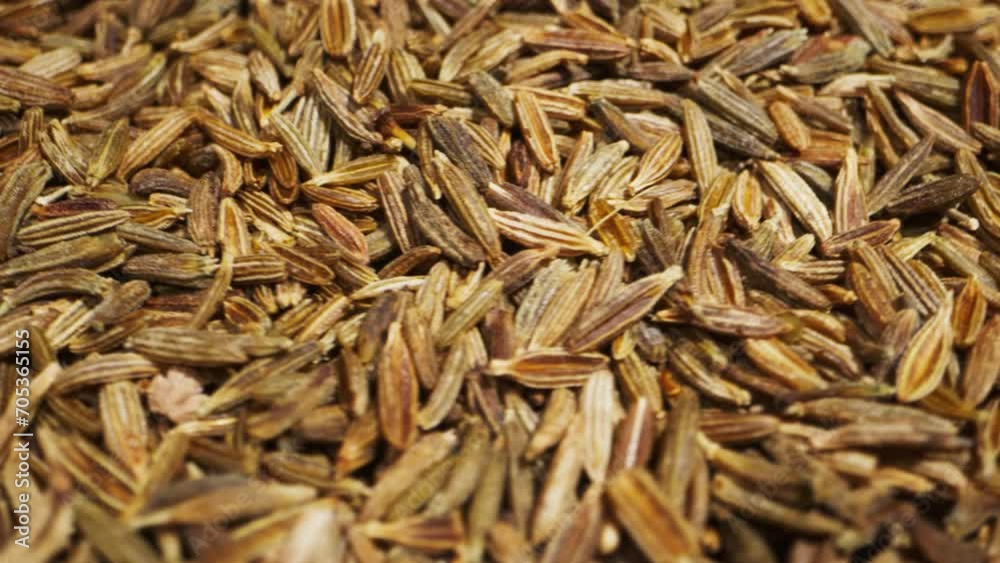 Cumin or jeera seeds rotating close-up. Seasoning cumin or jeera. Spice for food Cumin or jeera seeds rotating close-up. Seasoning cumin or jeera. Spice for food