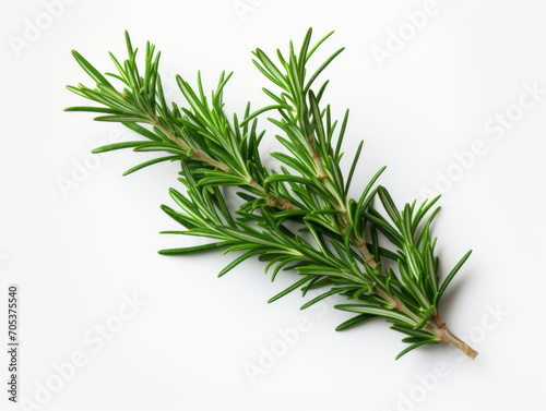 Close-up of fresh rosemary leaves on white background, vitamin and health concept. Generative AI.
