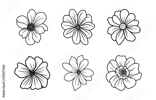 Hand drawn simple flower illustration