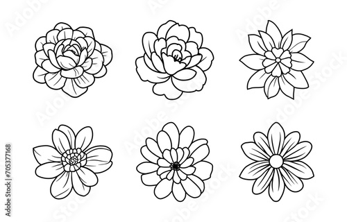 Hand drawn simple flower illustration