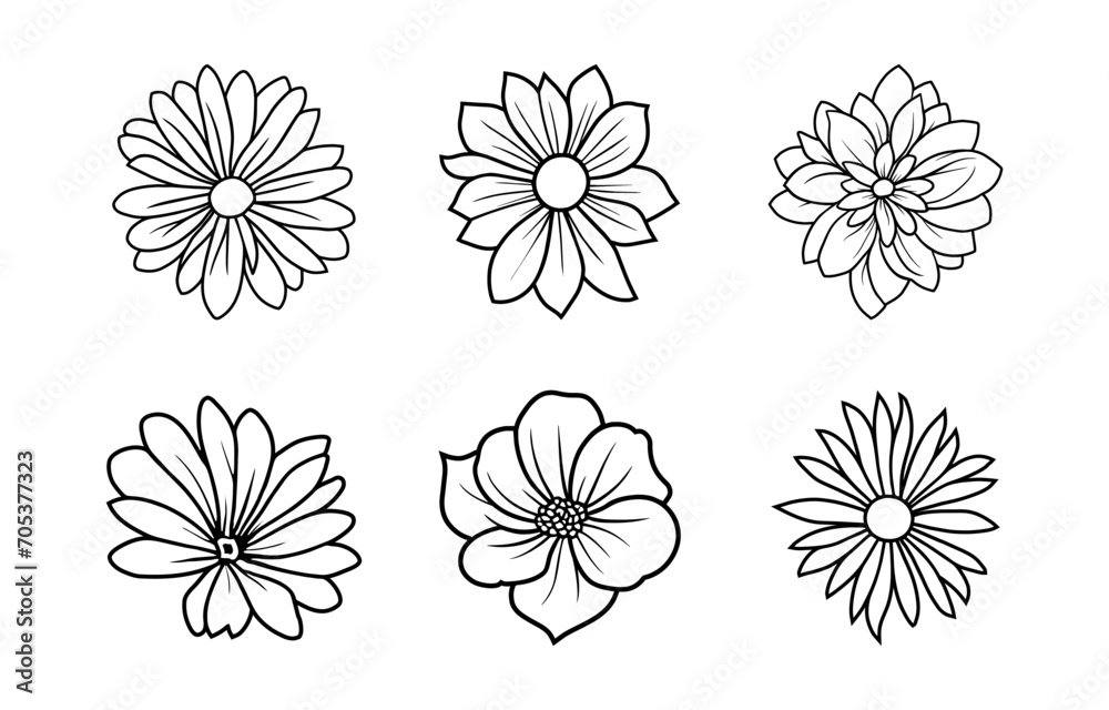 Hand drawn simple flower illustration Hand drawn simple flower illustration