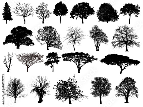  Various Trees Silhouette Models