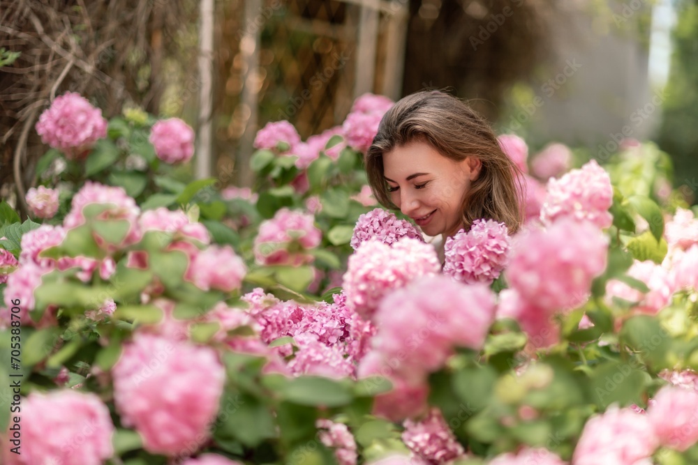 Hydrangeas Happy woman in pink dress amid hydrangeas. Large pink hydrangea caps surround woman. Sunny outdoor setting. Showcasing happy woman amid hydrangea bloom.