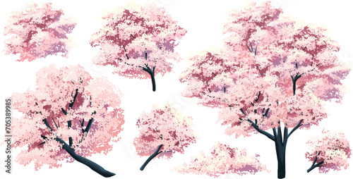 Free vector japan sakura cherry branch blossom with blooming flowers design constructor photo