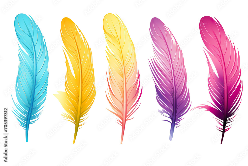 Collection of colorful feathers isolated on white PNG Collection of colorful feathers isolated on white PNG