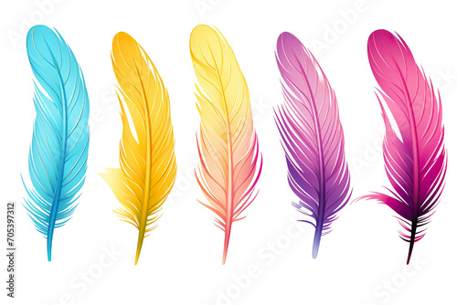 Collection of colorful feathers isolated on white PNG © JetHuynh