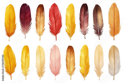 Collection of colorful feathers isolated on white PNG © JetHuynh