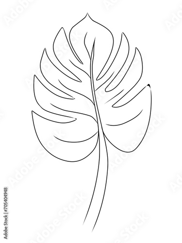 Daun tropis dengan gaya doodle. Elemen desain garis hitam vektor ditarik tangan. Ilustrasi botani musim panas eksotis.