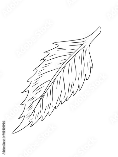 Daun tropis dengan gaya doodle. Elemen desain garis hitam vektor ditarik tangan. Ilustrasi botani musim panas eksotis.
