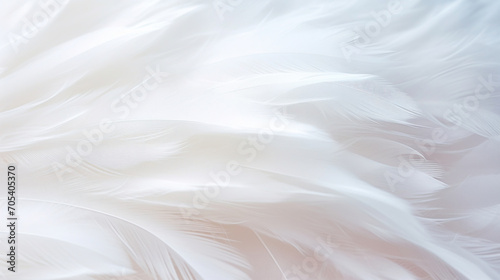 Close-up image capturing the soft, delicate texture of white feathers with subtle shadows and light.