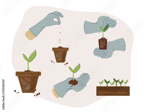 Hand in garden gloves hand sows the seeds. Home gardening.  vector illustrations in flat cartoon doodle style.