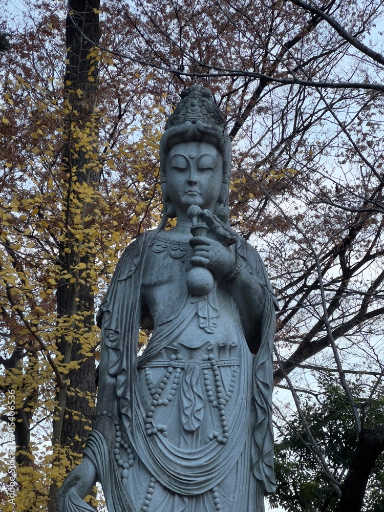 statue of buddha statue of buddha