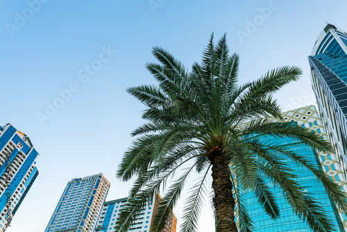 Real estate purchase in United Arab Emirates concept. Palms and modern residential architecture © Sergey