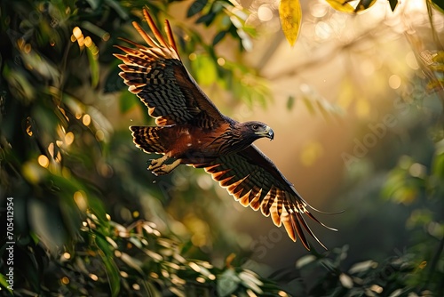 Portrait Serpent Eagle flying over the forest AI Generative photo