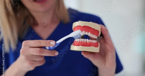 Closeup of dentist hands on artificial jaw showing how to properly brush teeth with toothbrush. photo