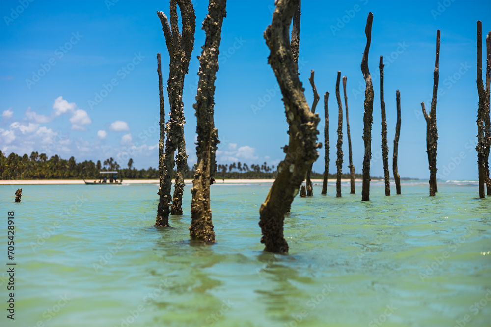 Praia de São Miguel dos Milagres, Alagoas, Basil. Praia de São Miguel dos Milagres, Alagoas, Basil.