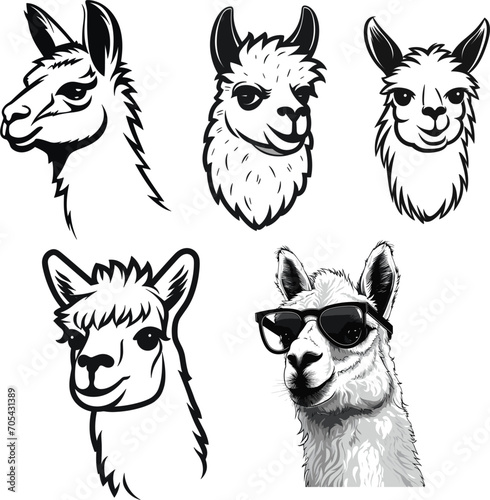 llama head vector set