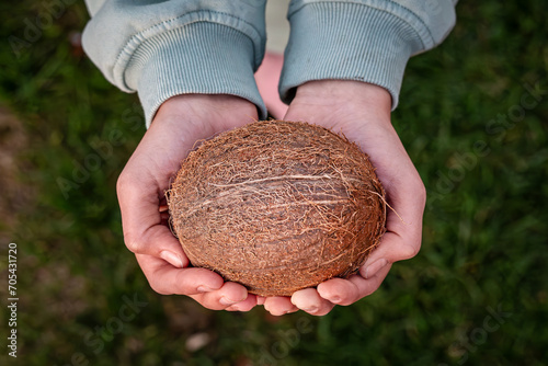coconut harvesting. Close up female holding and brown coconut exotic coconut. Proper nutrition vegan food vegetarian eating healthy lifestyle dieting concept. photo