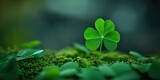 Symbol of luck. Vibrant clover leaves in closeup view celebrating nature beauty and conveying essence of fortune perfect for green backgrounds and seasonal designs