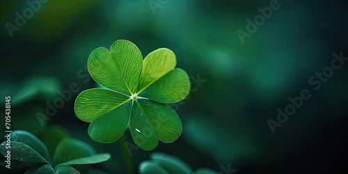 Symbol of luck. Vibrant clover leaves in closeup view celebrating nature beauty and conveying essence of fortune perfect for green backgrounds and seasonal designs