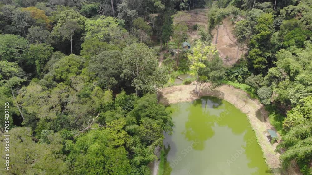 Drone stunning view of the vibrant greenery and water body in Malaysian forest Drone stunning view of the vibrant greenery and water body in Malaysian forest