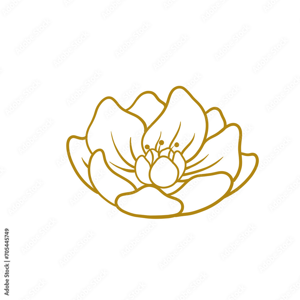 chinese new year element chinese new year element