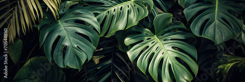 jungle leaves background texture