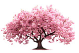 Cherry Blossom Tree Elegance on Transparent Background, PNG, Generative Ai