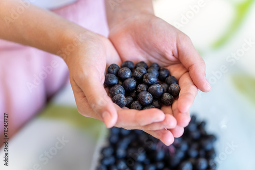 black berries in the hand of child girl.