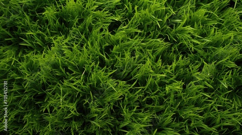 Green grass texture.. Generative AI