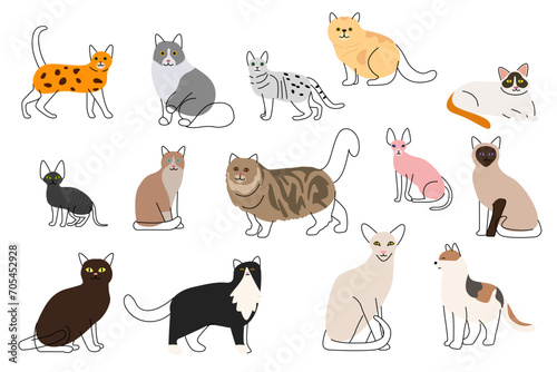 Fototapeta Naklejka Na Ścianę i Meble -  Different Cute Cat Icons Vector Illustration