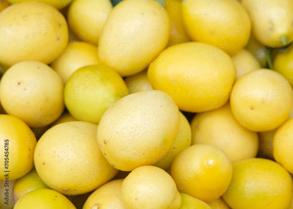 Close up on pile of fresh Limequats on display at Farmer's Market. The limequat is a citrus hybrid that is the result of a cross between the Key lime and the kumquat Close up on pile of fresh Limequats on display at Farmer's Market. The limequat is a citrus hybrid that is the result of a cross between the Key lime and the kumquat
