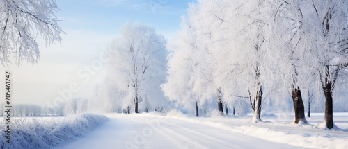 Panaromic view of winter landscape. © Shanorsila